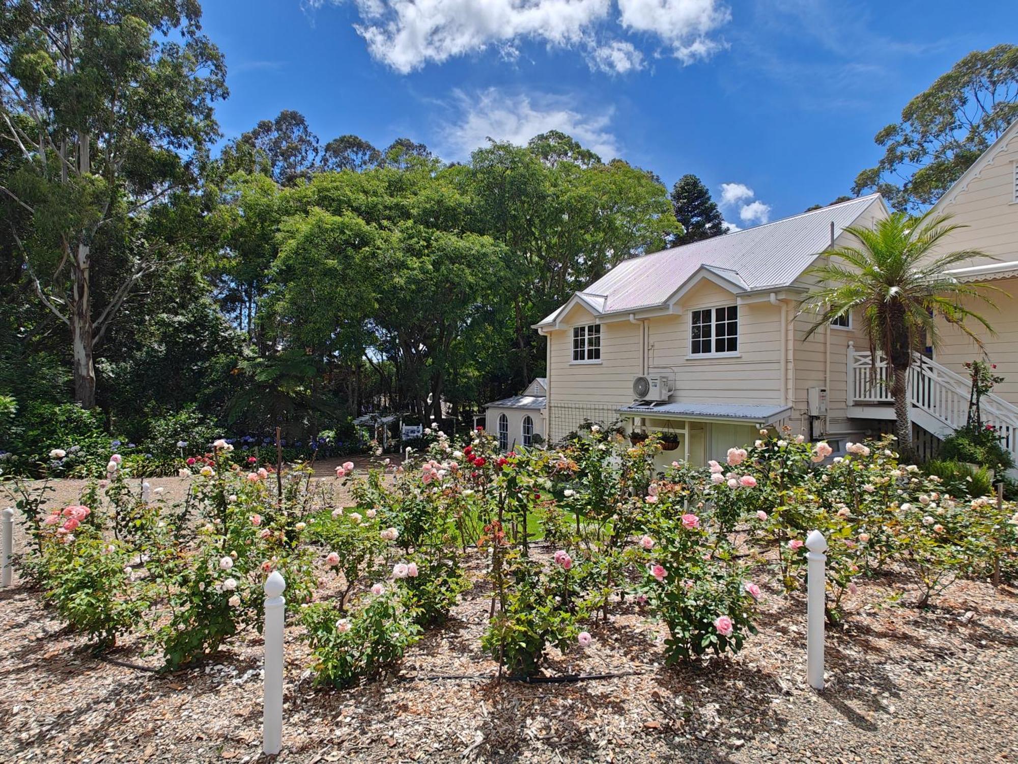 Wintergreen Manor At Maleny Εξωτερικό φωτογραφία